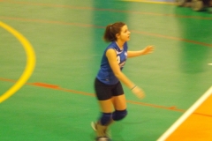 DSCF0251