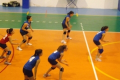 DSCF0252