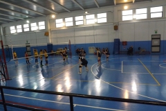 DSCF6547