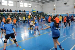 Tappa-di-aprile-99