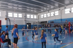 Festa dela pallavolo