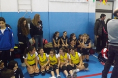 Tappa minivolley