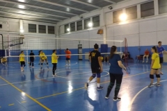 DSCF6498