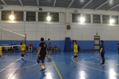 DSCF6499