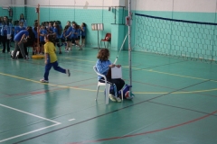 Tappa-minivolley-04-03-2012-001