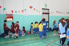 Tappa-minivolley-04-03-2012-013