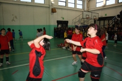 Tappa-minivolley-04-03-2012-154