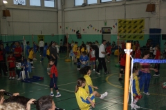 Tappa-minivolley-04-03-2012-162