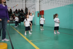 Tappa-minivolley-07-03-2010-64