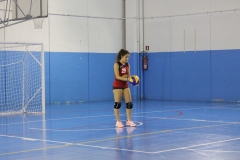IMG_8890