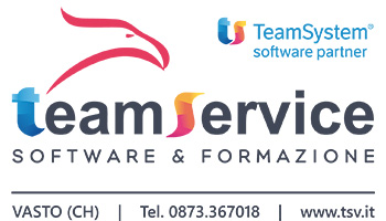 TeamService Logo